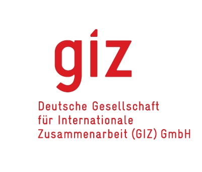 Проєкт GIZ FEER