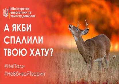 Не пали! Не вбивай тварин!