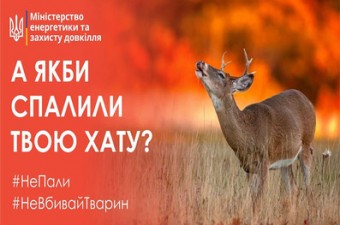 Не пали! Не вбивай тварин!