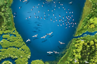 2 лютого – Всесвітній день водно-болотних угідь