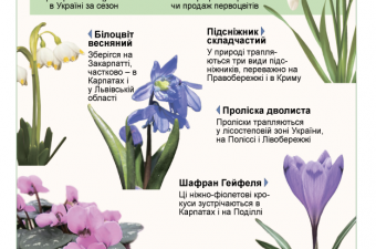 Збережемо первоцвіти