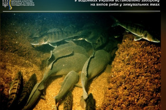 Розпочалася осінньо-зимова заборона на вилов водних біоресурсів у зимувальних ямах