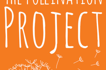 Щоденні гранти від Pollination Project Foundation