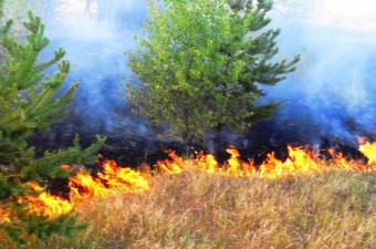 Чому спалювати суху траву, сміття та листя небезпечно для здоров’я та довкілля?